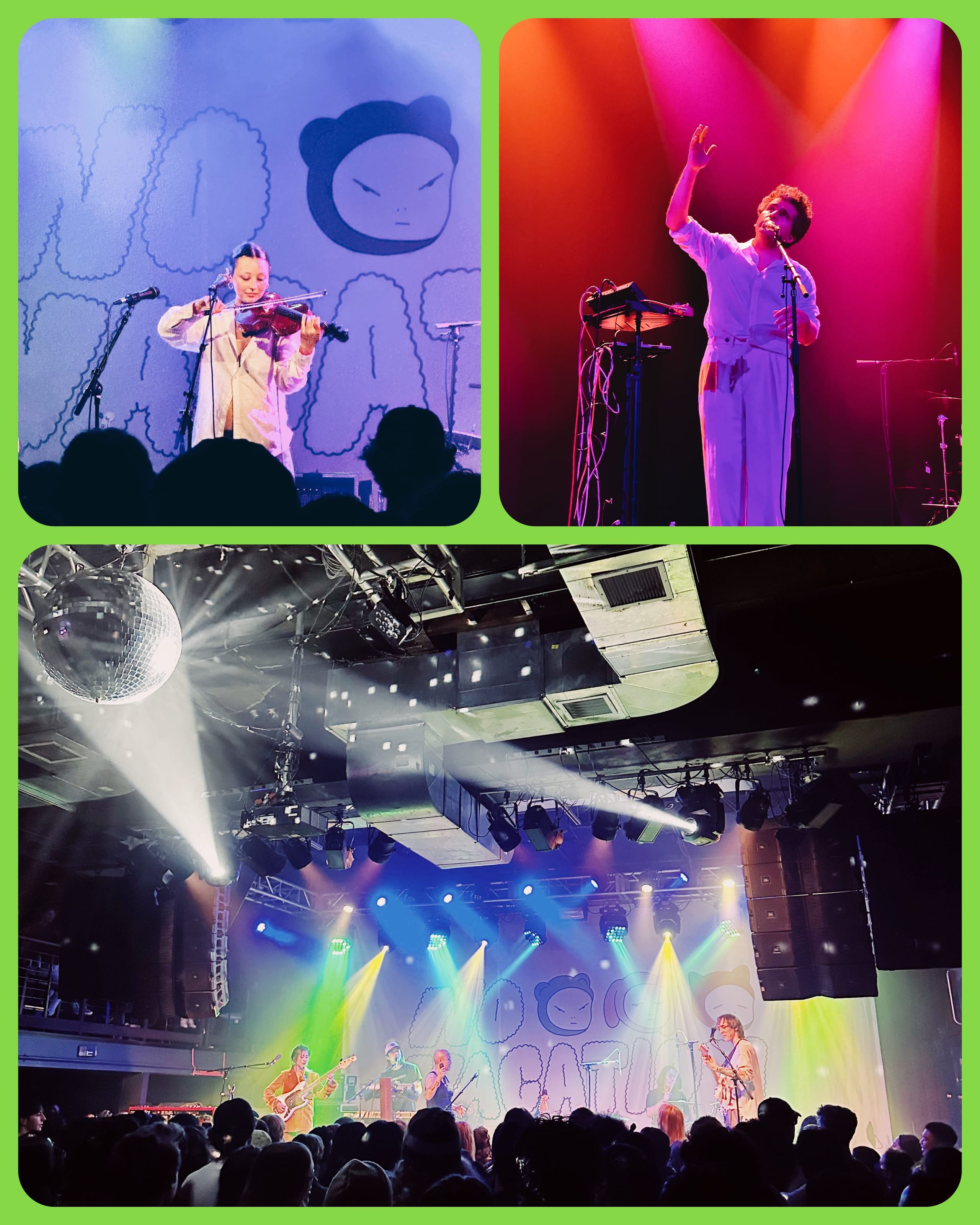Various concert photos from 2024