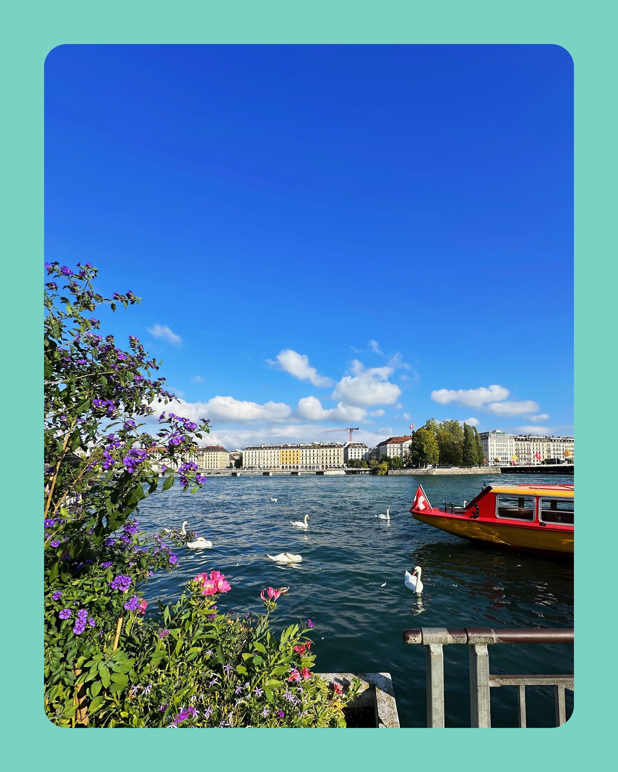 Geneva morning with swans, flowers, a boat, and blue skies in the background